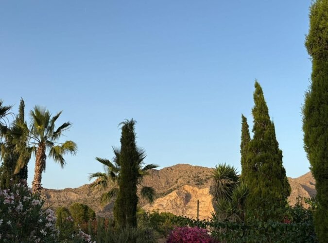 uitzicht